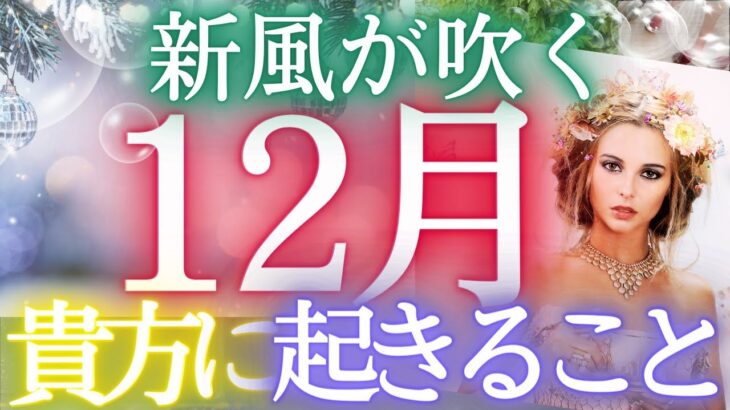 新風吹く！12月の貴方の全貌全容💎当たるタロット★個人鑑定級・タロット霊視予知リーディング✨🌎️オラクル仕事運❇️ 金運 対人運 恋愛運🔮ふなチャンネル 風菜タロット 運命 お金の流れ