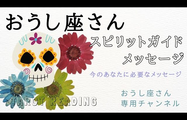 【見た時がタイミング】スピリットガイドからのメッセージ👼🍒（2023/11/6）