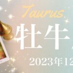 【おうし座】2023年12月♉️ミラクル！今年最後の大吉報！義務を手放した先に見えるもの、答えを出す、学びはもう十分