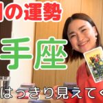 【射手座】現実が急に動き出す⁉️白黒はっきりしてくる時‼️| 癒しの占いで12月の運勢をみる