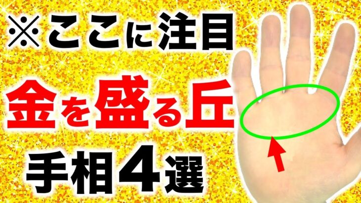 【手相】金運が盛り上がる！黄金の丘手相４選【三峰隆起紋・黄金の道】