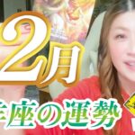 【山羊座】2023年12月運勢❤️最上級の豊かさ！年末注意！あなたは次の未来へ向かっている✨愛/仕事/金運/人間関係/健康✨