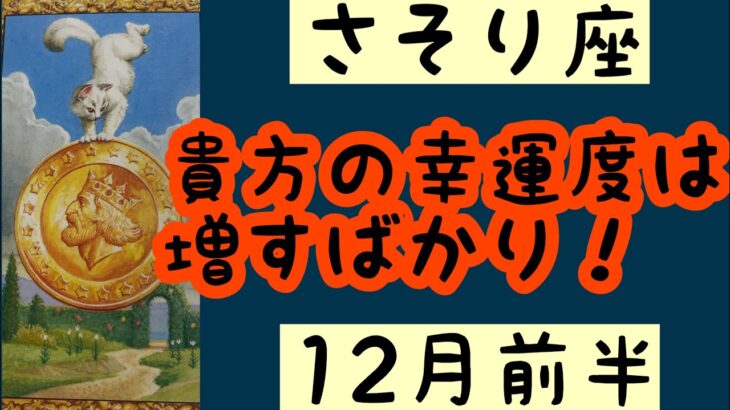 【12月前半の運勢】蠍座　貴方の幸運度は増すばかり！超細密✨怖いほど当たるかも知れない😇#星座別#タロットリーディング#蠍座