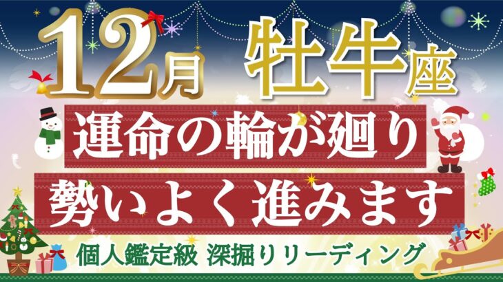 🎄牡牛座12月🎄運命の輪が回る💫運が味方して勢いよく進んでいきます🌈【個人鑑定級】深掘りリーディング🧚仕事運,人間関係運,恋愛運,金運［タロット/オラクル］