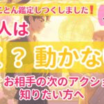 【とことん鑑定❣️】今すぐお相手の次のアクションが知りたい方へ❤️【個人鑑定級当たるタロット占い】