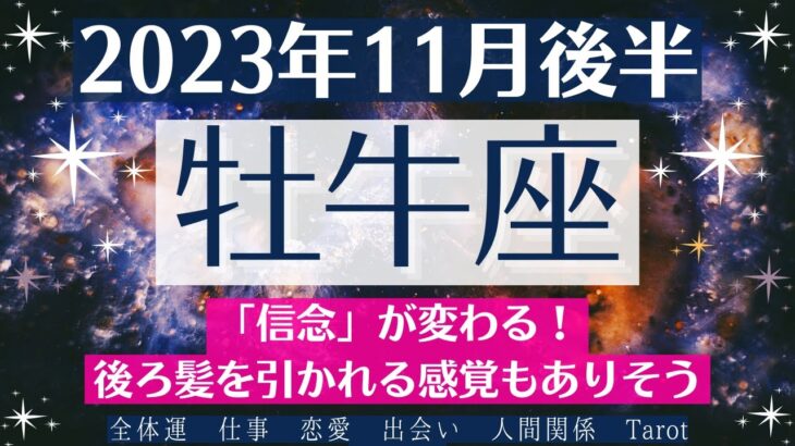 💕おうし座♉11月後半タロットリーディング│全体運・恋愛・仕事・人間関係