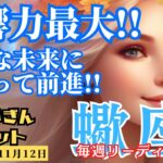 【蠍座】♏️2023年11月6日の週♏️影響力最大‼️の時😊輝く未来✨に向かって前進🌈タロットリーディング🍀