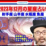 【12星座】射手座 山羊座 水瓶座 魚座　2023年12月【タロットで仲良く】