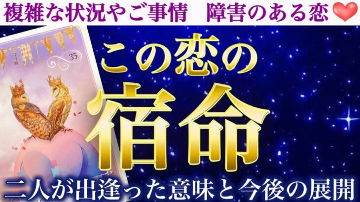 【泣かずにはいられない】深すぎて感涙の神回でした🥹この恋の宿命。二人が出逢った意味と今後の展開をお伝えします。