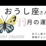 おうし座🐮2023年11月の運勢🍁🌰希望に満ちた未来を心の目で観る。あなたのこだわり、感覚を信じて進む。