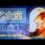 《乙女座》2023年11月の運勢　人との繋がりで何かが始まる🙌💖成功や豊かさが手に入ります💐✨️素晴らしい🌹✨️