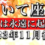 いて座♐︎2023年11月後半 誕生日おめでとう㊗️🎊！奇跡は永遠に起こる　Sagittarius✴︎late November 2023