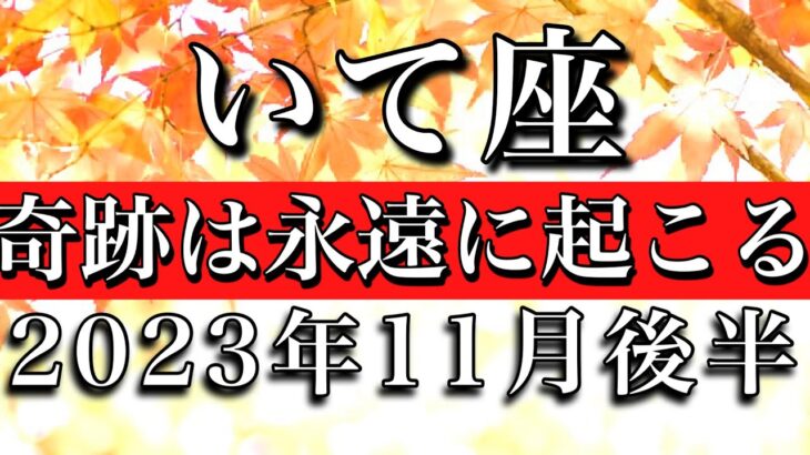 いて座♐︎2023年11月後半 誕生日おめでとう㊗️🎊！奇跡は永遠に起こる　Sagittarius✴︎late November 2023