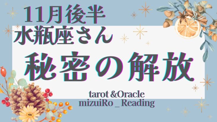 【水瓶座】見逃し注意！ “個性”の解放！宇宙のサポートを実感🕊️  仕事運 /対人運 /恋愛運・家庭運/全体運/星座別リーディング/タロット占い/11月後半