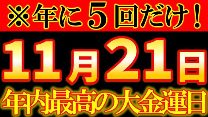 【今年最強！】11月21日 大願成就日✨願いが叶いすぎる今日、必ず実践して！｜コレ、やらないともったいない。人生を好転させたい人だけ見てください