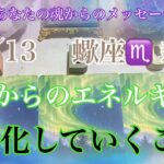 🌙蠍座新月のエネルギー🔮あなたに起こる変化🔮素敵なことが起こる事を知ってほしいです【数秘術占い師のカードリーディング】