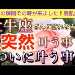 牡牛座🦋【超鳥肌級😭】今までの努力が報われる時✨今がどんな状況でも一変する奇跡の可能性🌈突然叶う事・いよいよ叶う事🌹個人鑑定級#潜在意識#魂の声＃ハイヤーセルフ