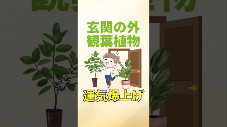【玄関の外で運気爆上げ】観葉植物ベスト5#shorts  #開運のコツ