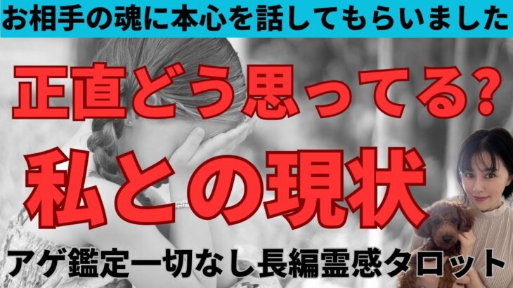 【見た時がタイミング🔔】今の関係どう思ってる❓ツインレイ/ソウルメイト/運命の相手/複雑恋愛/曖昧な関係/復縁/片思い/音信不通/ブロック/未既読スルー/好き避け/恋愛/結婚/占い/リーディング/霊視