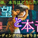 【すれ違う前に見て‼️】この関係本当はどうしたい？あの人の願望と本音〔ツインレイ🔯霊感霊視チャネリング🔮サイキックリーディング〕