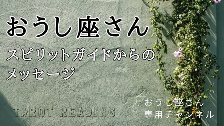 【見た時がタイミング】スピリットガイドからのメッセージ(2023/11/20)