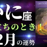 【蟹座11月後半〜12月】これはすごすぎ！素晴らしい何かが始まっていく！タロット&オラクルカードリーディング