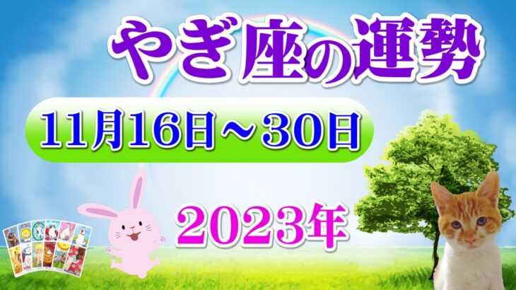 【毎日タロット後半】山羊座（やぎ座）11月16日から30日の運勢をリーディング⭐