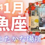 【魚座♓️】2024年1月運勢🎍優しくてあたたかな場所で育まれていく🌈🦋目標はもう決めましたか？あなたのイメージが形になっていきます⭐️イマジネーションと遊び心がキーワード🤗赤がラッキーカラーかな❤️