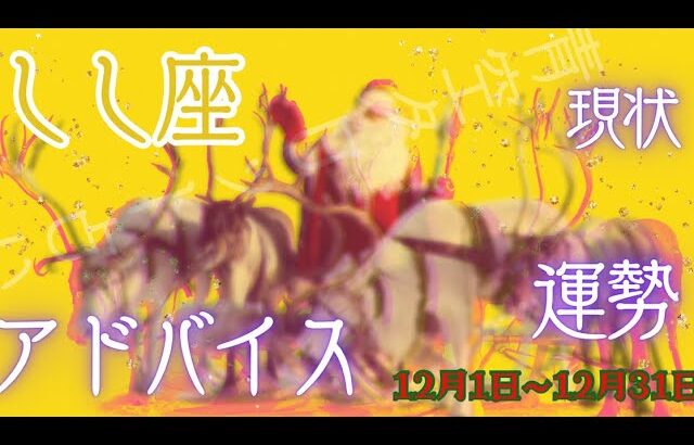 しし座さん12月の運勢・アドバイス🍀*゜タロット占い