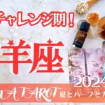 【やぎ座】2024年1月運勢🕊脱皮の期間🐐熱いチャレンジのとき🔥お誕生日プレゼント企画🎁星とカードからのメッセージ🌟【タロット＋オラクルカード＋アロマ】仕事・恋愛・人間関係・お金