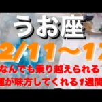うお座✨12/11～17🌈運が味方してくれる最強の1週間✨#tarot #tarotreading #タロット占いうお座 #タロット占い魚座 #タロット恋愛 #タロット