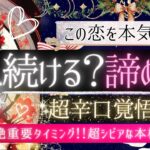 超辛口覚悟下さい🌹この恋 続ける？諦める？🥀本気で覚悟決めたい方向け【忖度一切なし❤︎有料鑑定級❤︎】