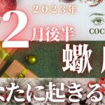 蠍座♏️ 【１２月後半🎅あなたに起きること】2023　ココママのなんで？見えてる？👀個人鑑定級タロット占い🔮