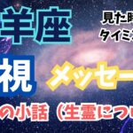 山羊座♑️【霊視】メッセージ✨小話付き⭐️