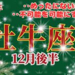 【おうし座】2023年12月後半運勢🌈サイキックギフトで奇跡が起きます。めったにない幸せをドラゴンが届けてくれます‼︎🌈🌈お仕事〜優しい月明かりが導いてくれます。