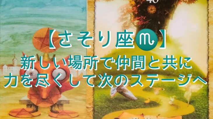 【さそり座♏】新しい場所で仲間と共に　力を尽くして次のステージへ