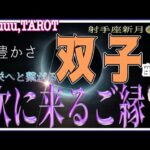 双子座♊️さん【射手座新月🌚〜繁栄につながるご縁】ポジティブへの変換🌈#直感リーディング #タロット占い #2023