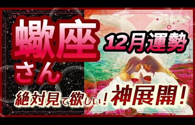 【タロットリーディング】蠍座さん♏️12月の運勢🔮運気爆上がり‼️【星座】