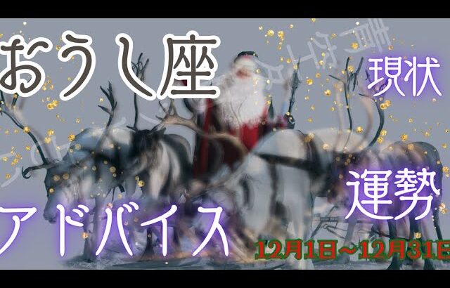 おうし座さん12月の運勢・アドバイス🍀*゜タロット占い