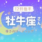 【牡牛座さん】12月後半♉️No🖐️勝手に落ち込むの禁止です❣️絶対上手くいってる❣️大丈夫だからこのメッセージ聞いて❣️🧚✨