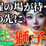 【獅子座】♌️2023年12月4日の週♌️大きな活躍の場‼️目の前に広がる🌈今の忙しさが抜けた先に🌸タロットリーディング🍀