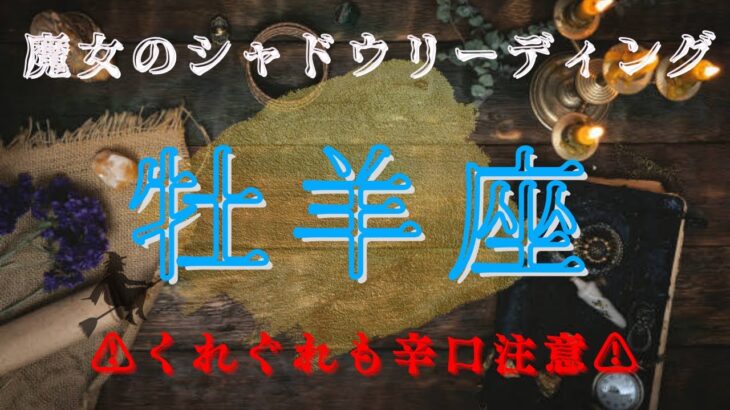 牡羊座12月〜1月【シャドウ】どうすればいいのかはあなたが一番よくわかっている⭐️魔女のシャドウリーディング🌗