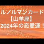 山羊座♑️2024年の恋愛運❤️(ルノルマンカード・タロットカード)