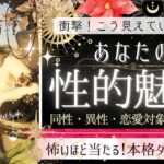 ドキッ‥❤️恋愛対象から ❤️あなたの性的な魅力❤️【忖度一歳なし❤︎有料鑑定級❤︎】