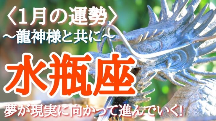 【#水瓶座♒️さんの※1月運勢！龍神様と共に🐉⛩️】全体！仕事！人間関係！恋愛！転機予報！【夢が現実に向かって進んでいく！】※サムネイルのお写真ありがとうございました✨写真もまだまだ募集中！