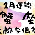 【蟹座】止まらない好奇心✨宇宙は貴方の中に　#2024年1月運勢