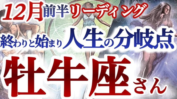 牡牛座12月前半【奇跡の出会いとチャンスに恵まれて、過去を卒業して人生の新サイクルへ突入】好転期！人事を尽くすと天が全力で後押ししてくれる　おうし座　１２月　タロットリーディング