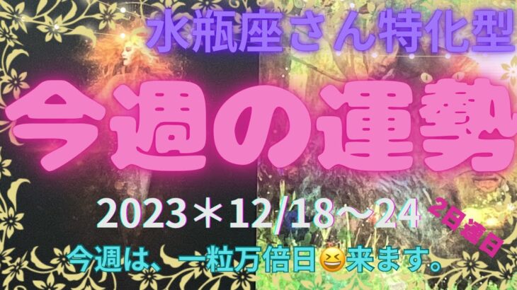 🌾水瓶座さん特化型🌾何かが、起きそうな予感😆『え〜っ‼️ほんとに〜‼️』　クリスマス🎁プレゼントですか〜⁉️