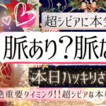 ❤️🫣ハッキリさせます🌹✧₊あの人は脈アリですか？❤️辛口も愛の結果も覚悟ください【忖度一切なし❤︎有料鑑定級❤︎】再UPver.