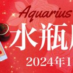 【みずがめ座】2024年1月♒️こんなに大きな感動は滅多にない…音を立てて崩れる障害の壁、深い救済の閃き、希望はここにあった